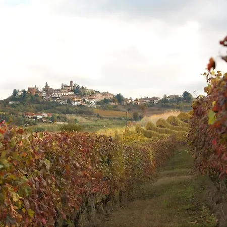 In Vigna Gallina *